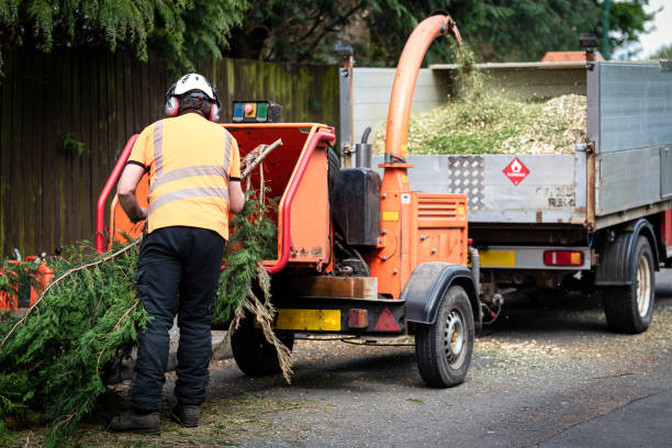  West Milwaukee, WI Tree Removal Pros